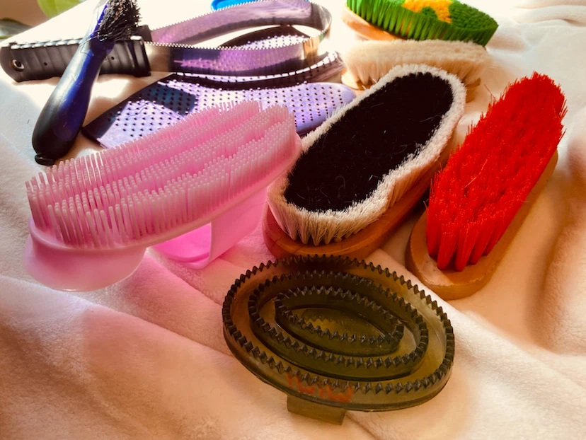Horse Grooming Brush Set with Tote Bag - photo 3