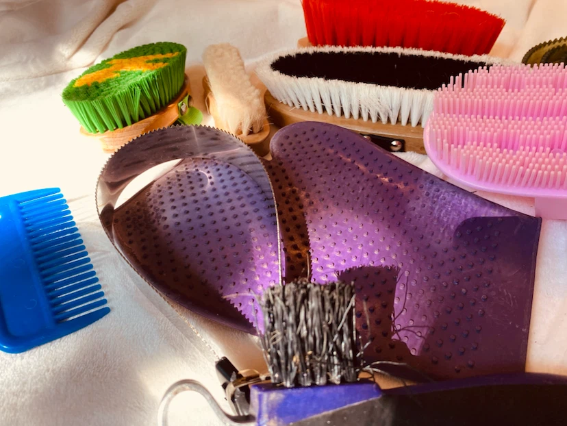 Horse Grooming Brush Set with Tote Bag - photo 4
