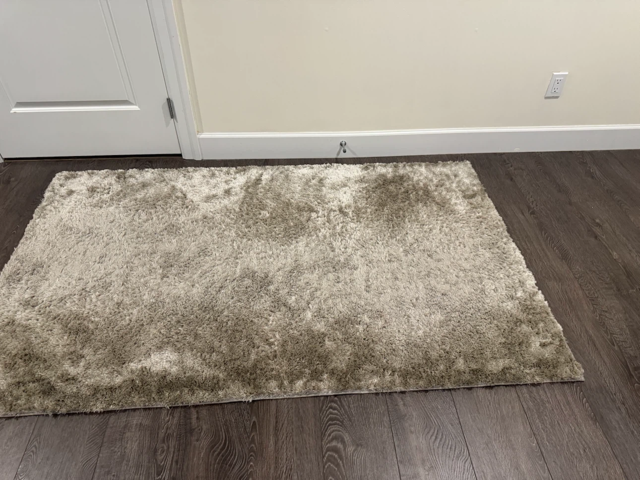 Shaggy Area Rug - Beige (1 large, 1 small) - photo 4