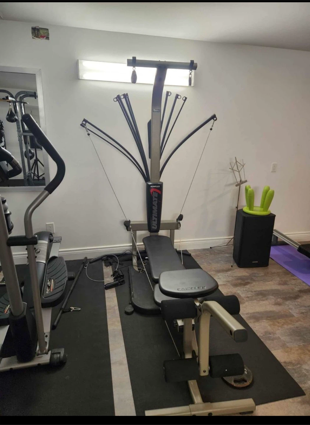 Bowflex Ultimate Home Gym