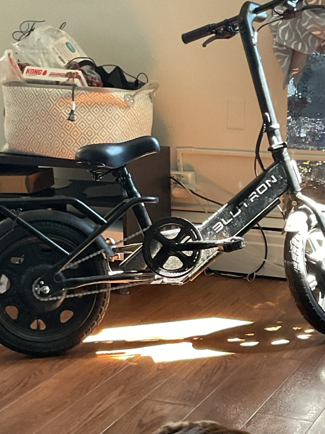 BLUTRON Electric Bike READ FULL AD