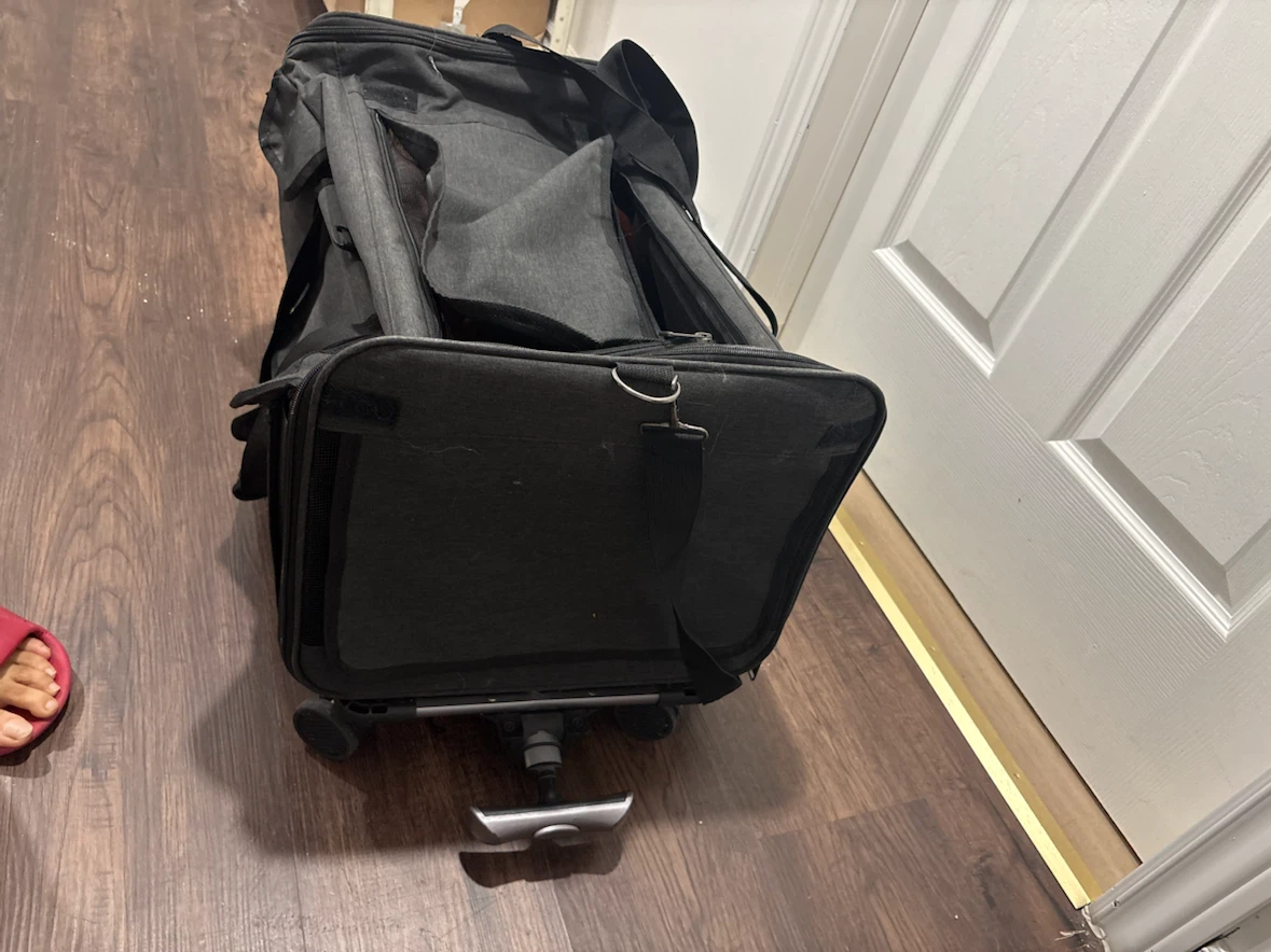 Black Rolling Pet Carrier
