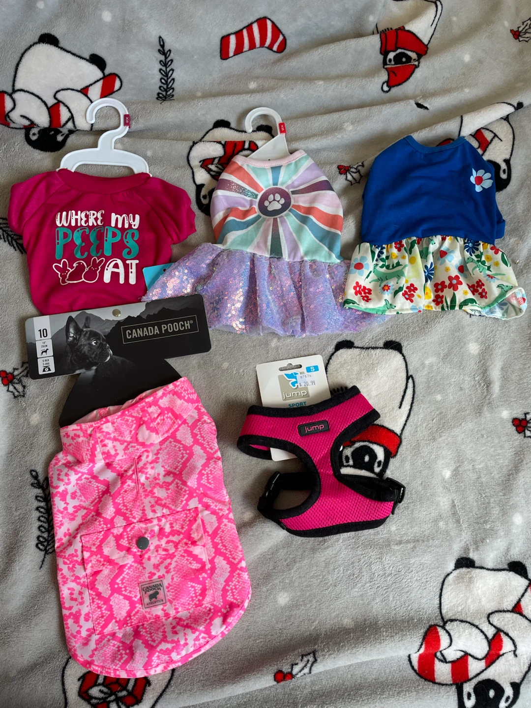 XS Brand New Dog Clothes Lot