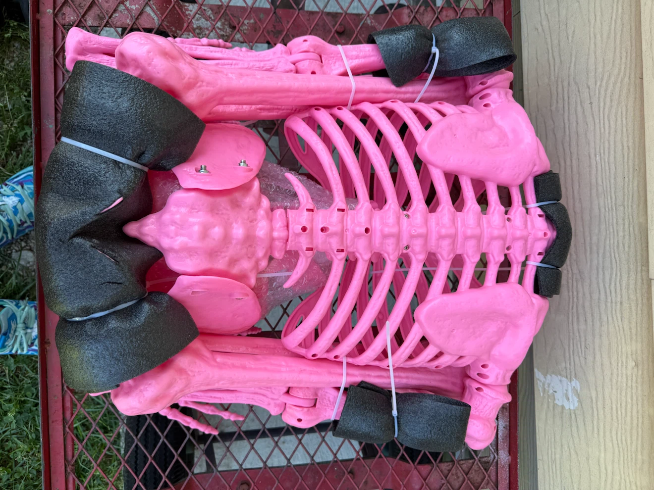 5 Foot Pink Poseable Skeleton Halloween Decoration - photo 3