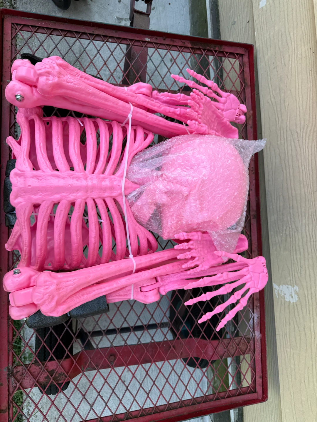 5 Foot Pink Poseable Skeleton Halloween Decoration - photo 5