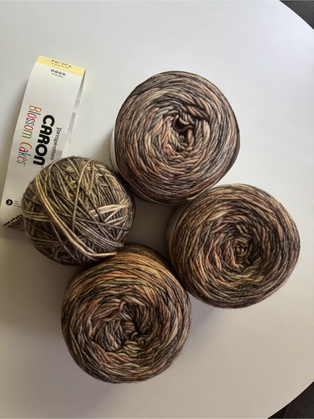 Caron Blossom Cakes Yarn - Bark Color