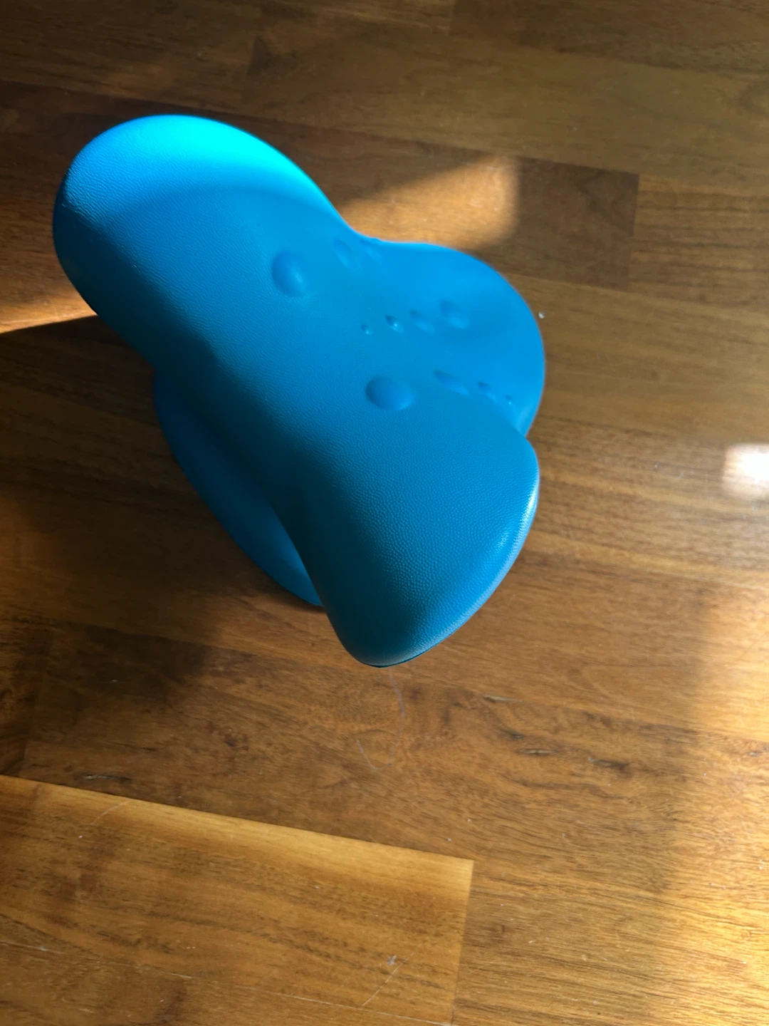 Blue Neck Support Pillow