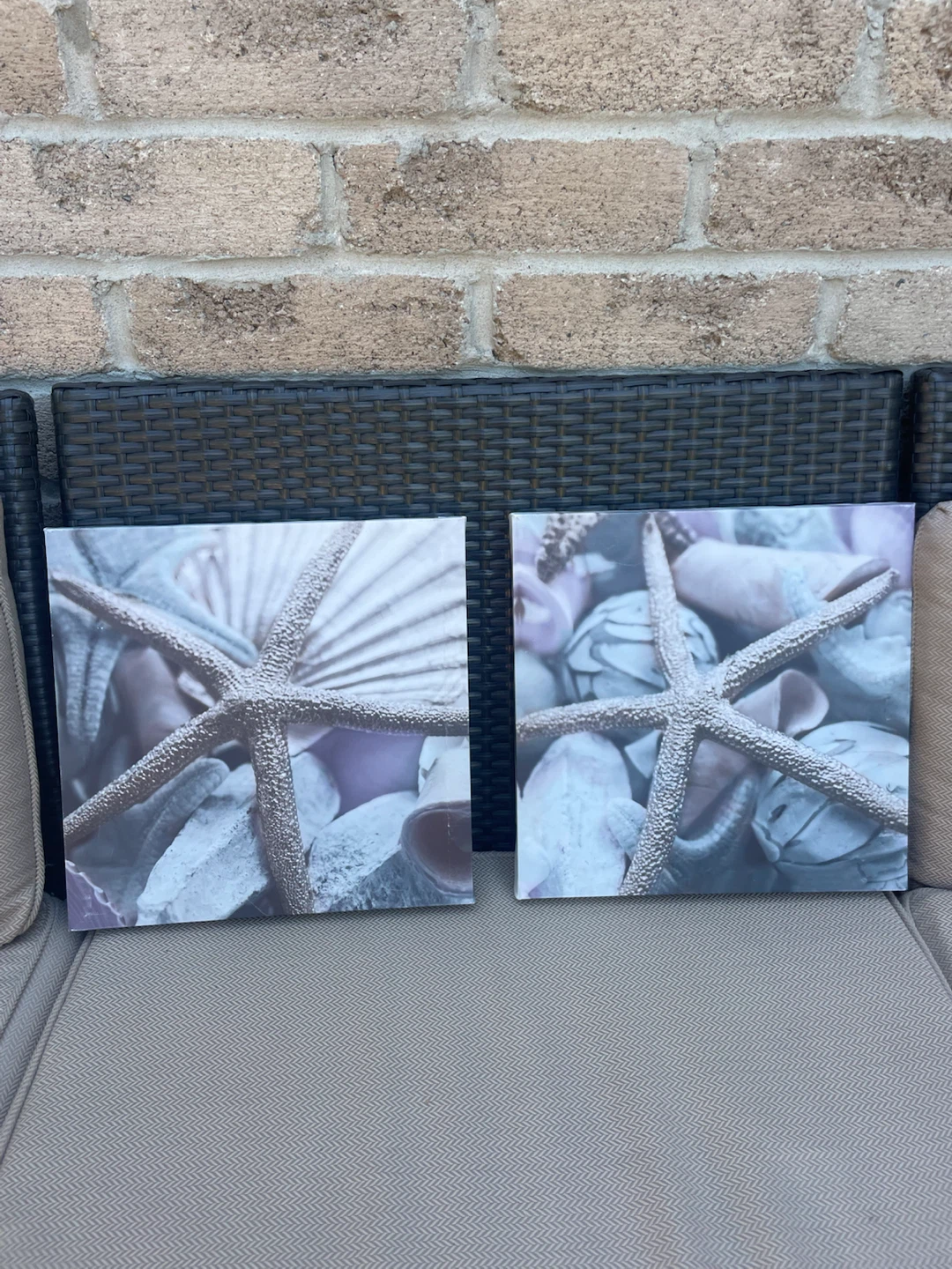 Set of 2 Seashell and Starfish Canvas Wall Art