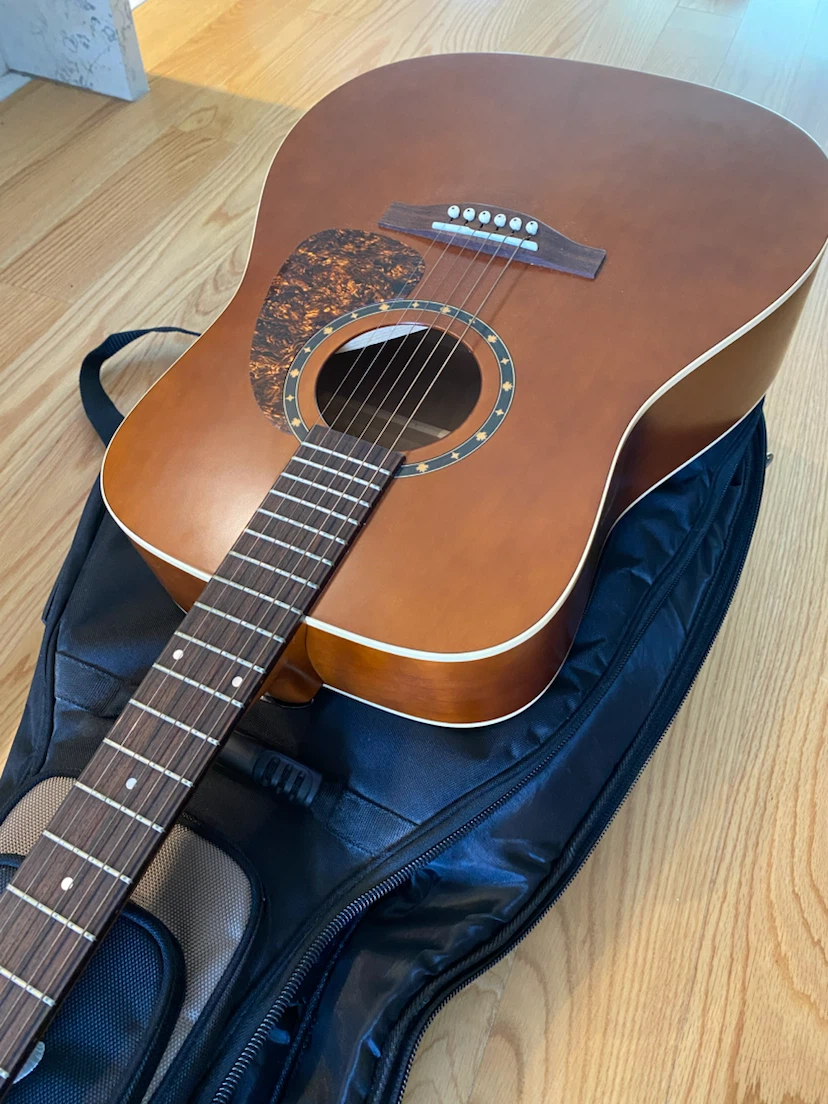 Norman Protege Acoustic Guitar