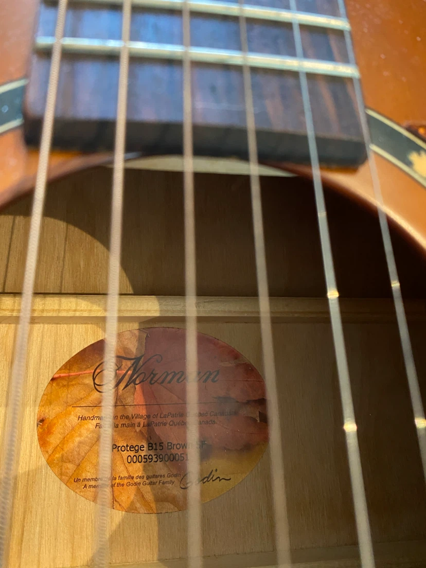 Norman Protege Acoustic Guitar - photo 2