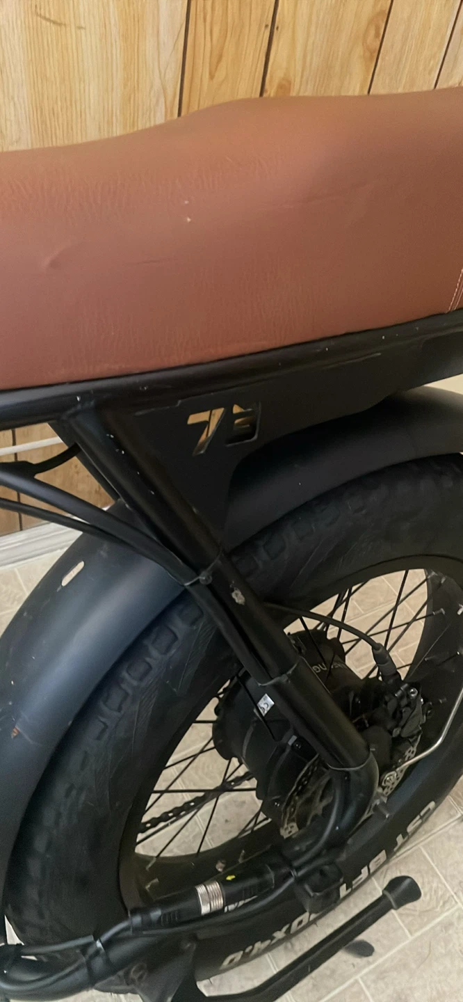 Electric bike - photo 2