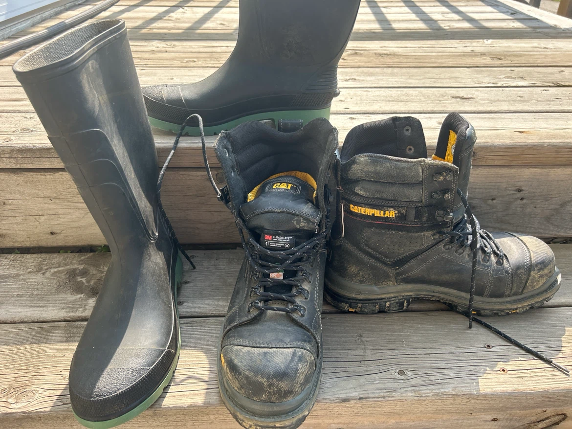 Boots