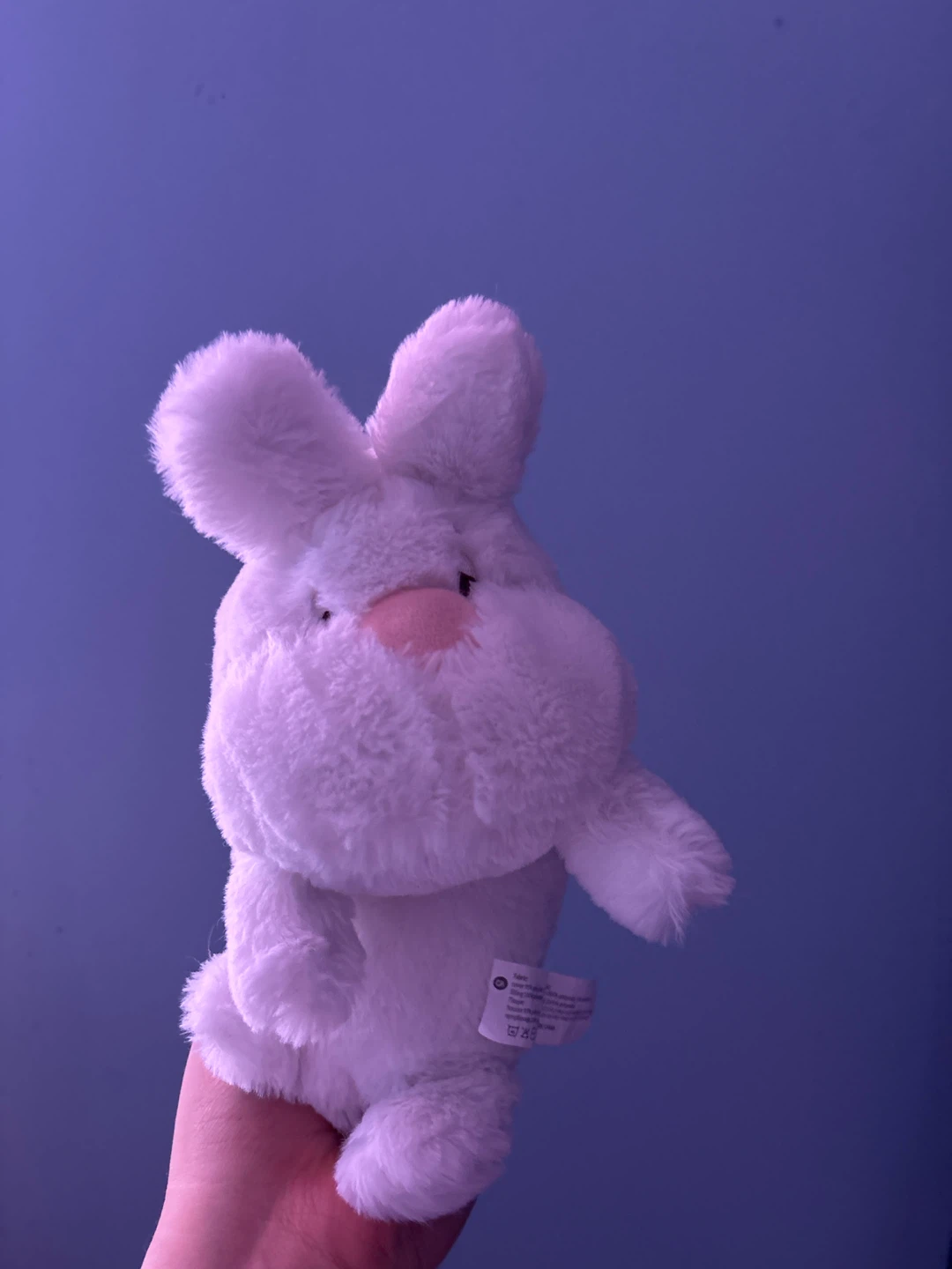 White Plush Bunny