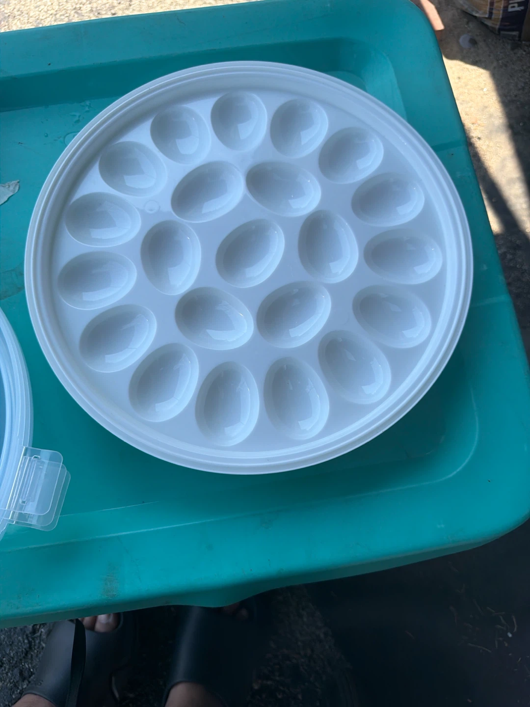 24 Egg Holder with Lid