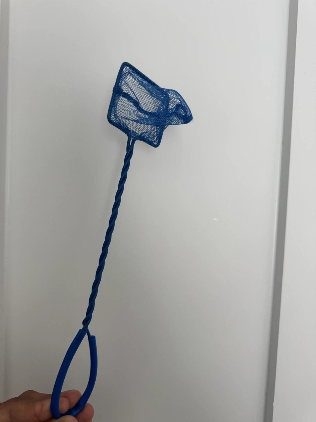 Small Blue Aquarium Fish Net - photo 3