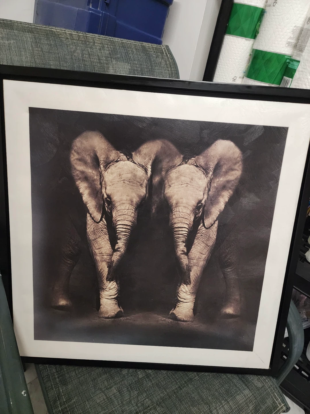 Framed Print - Two Elephants