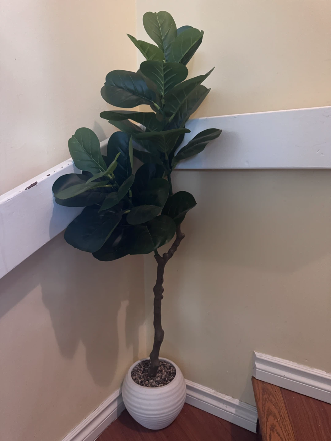 Artificial Eucalyptus Tree in White Pot - photo 2