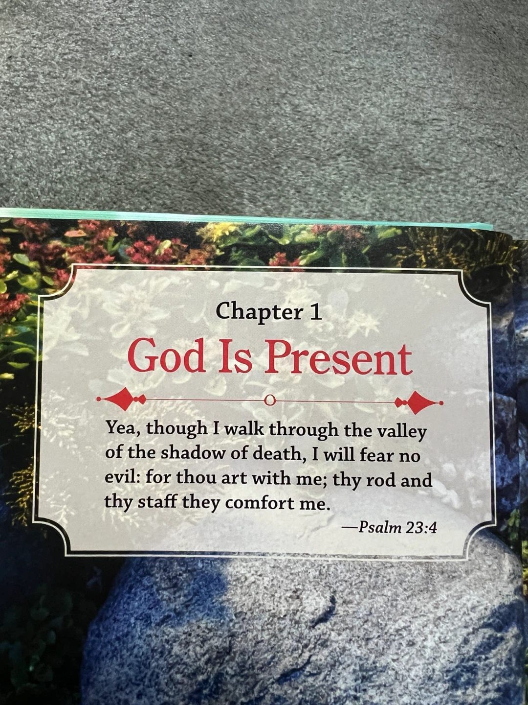 Daily Words of Comfort Book - photo 4