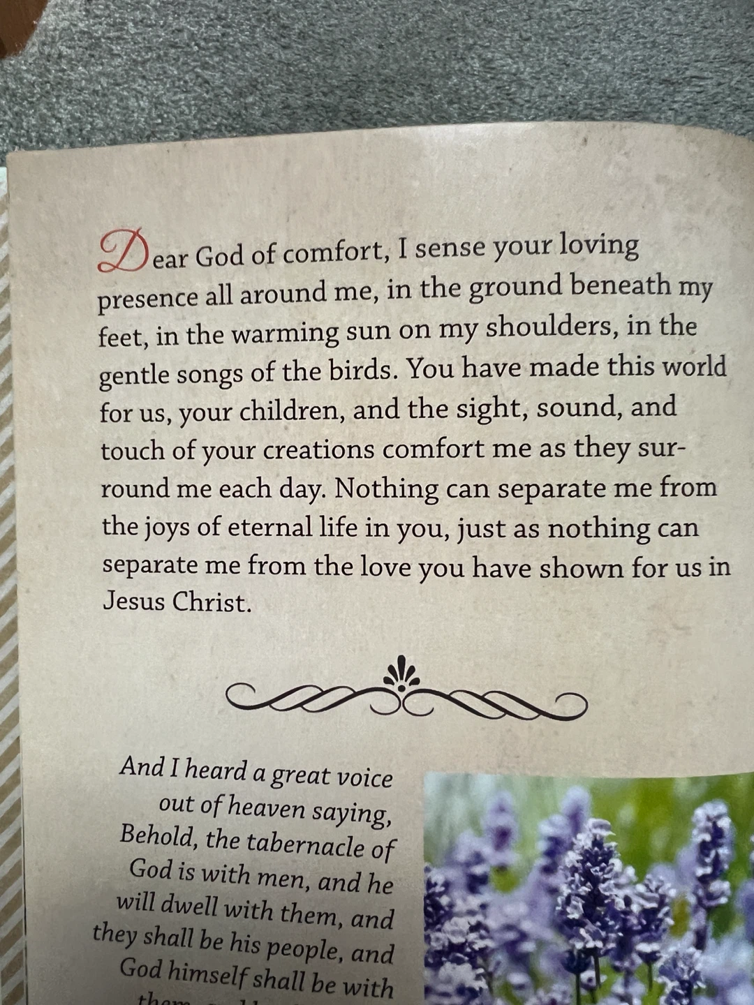 Daily Words of Comfort Book - photo 5