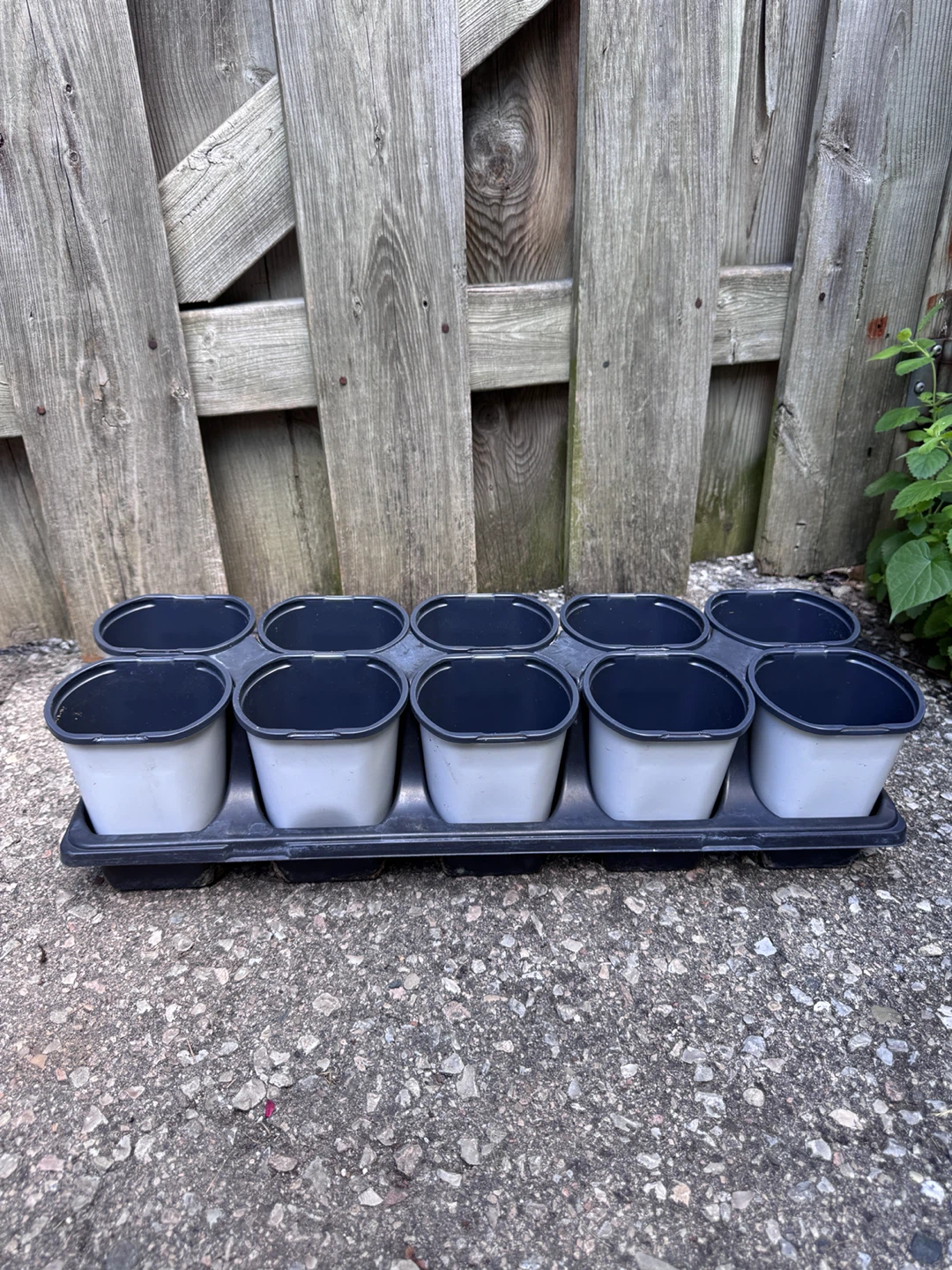 Nursery Pot Whole Set (10 pots in total)