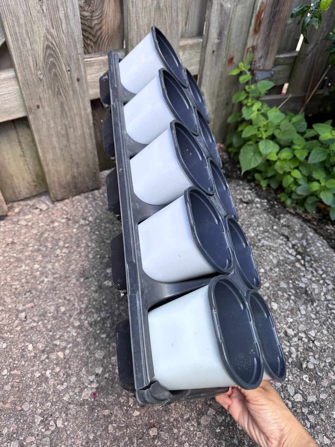 Nursery Pot Whole Set (10 pots in total) - photo 2