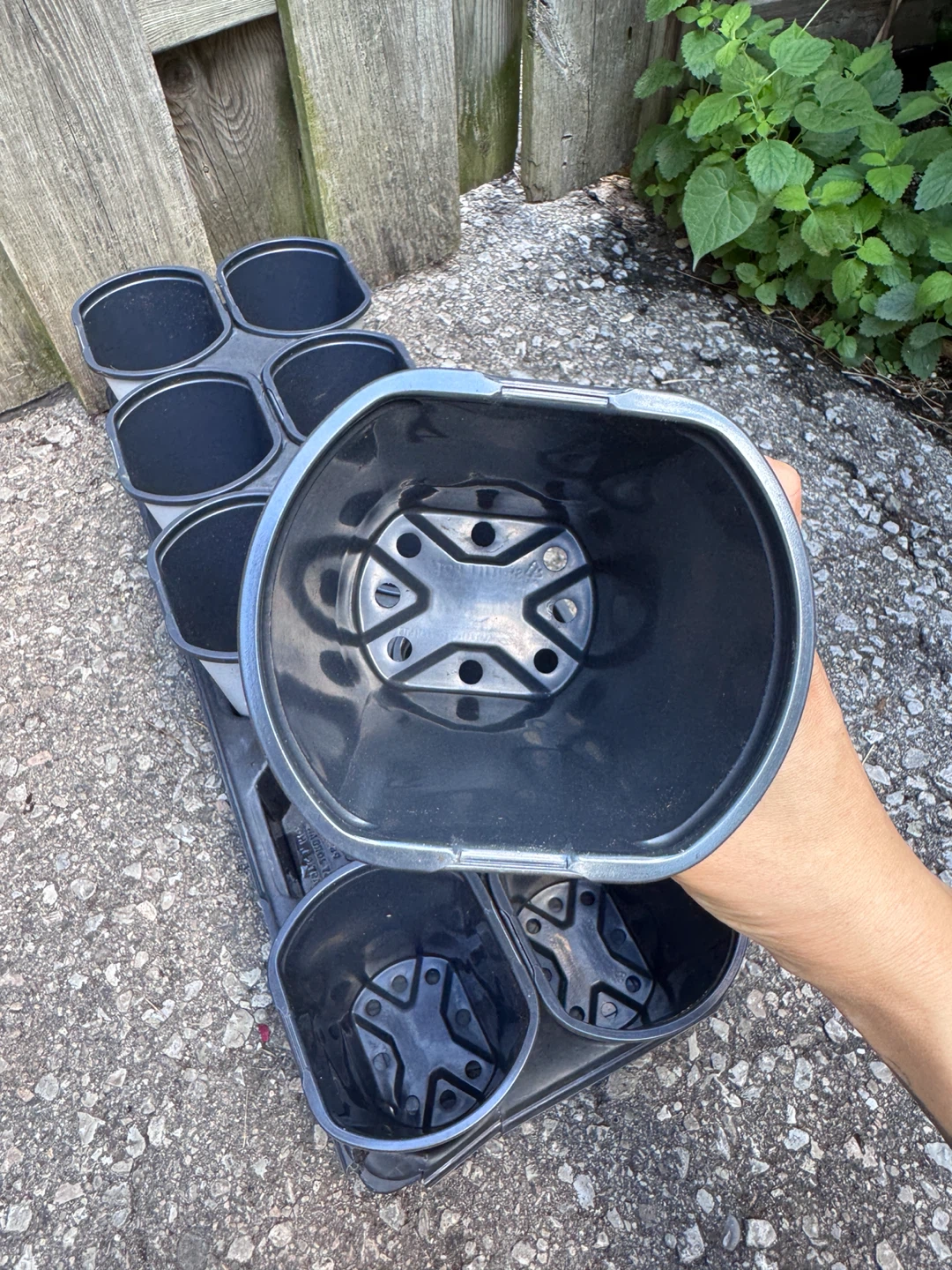 Nursery Pot Whole Set (10 pots in total) - photo 4