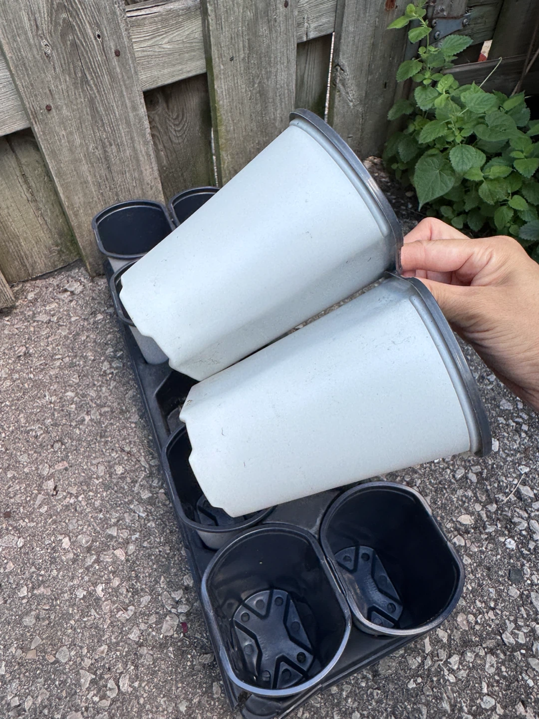 Nursery Pot Whole Set (10 pots in total) - photo 5
