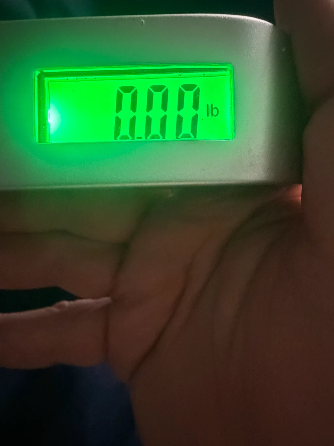 Digital Luggage Scale - photo 3