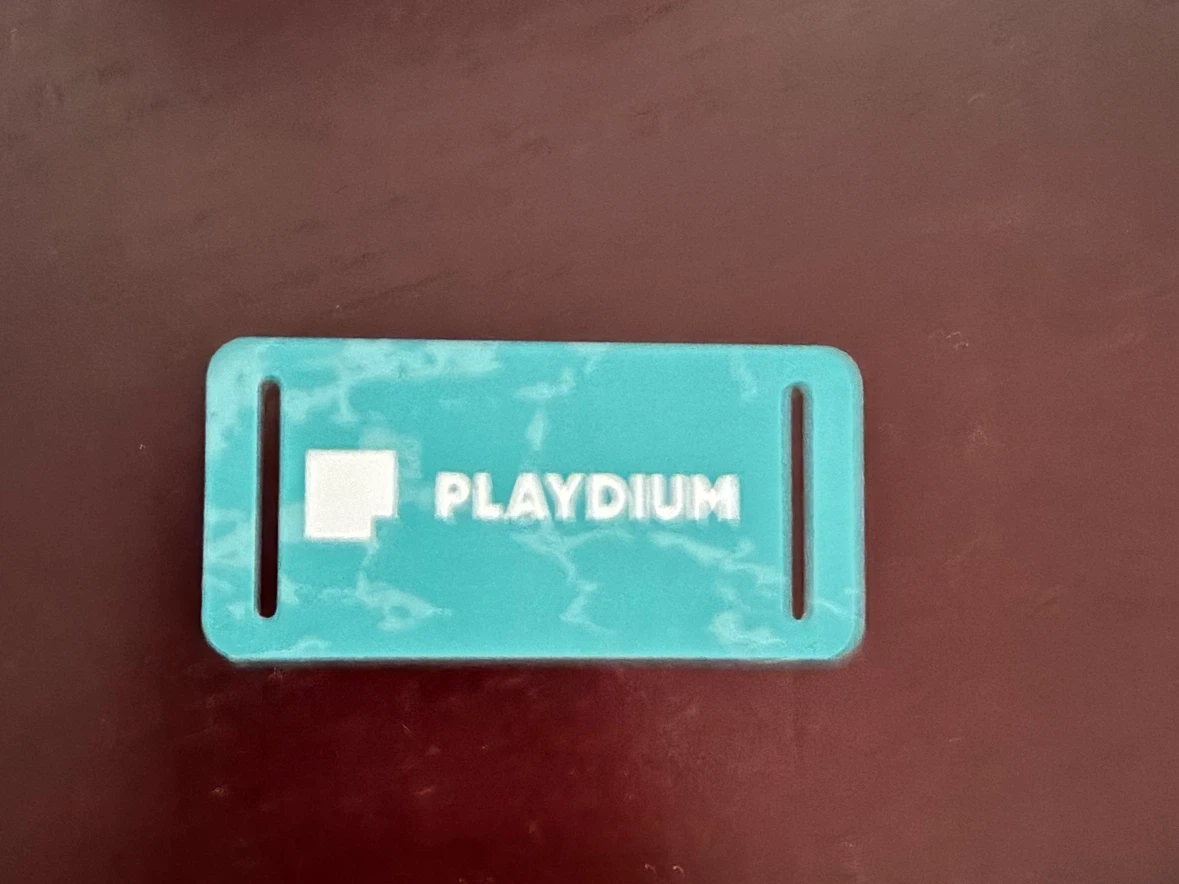 Playdium Tag