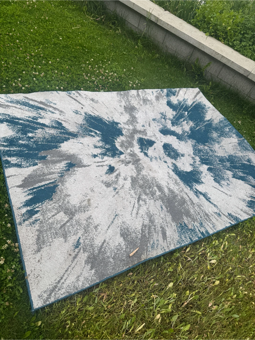 Area Rug