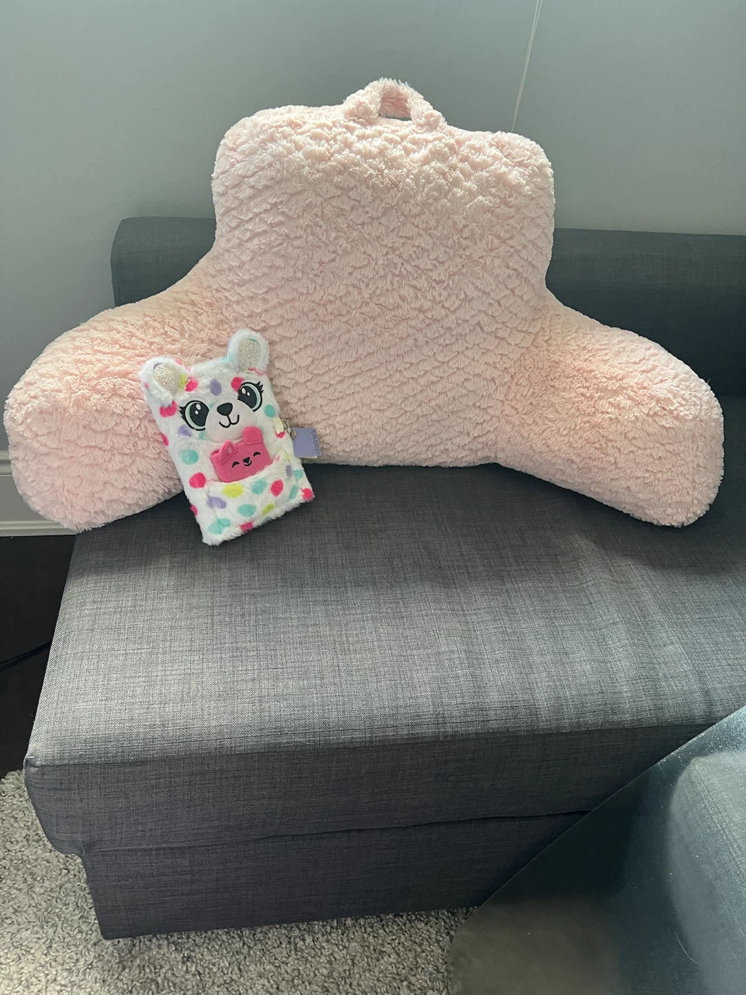 Kid’s reading pillow and diary