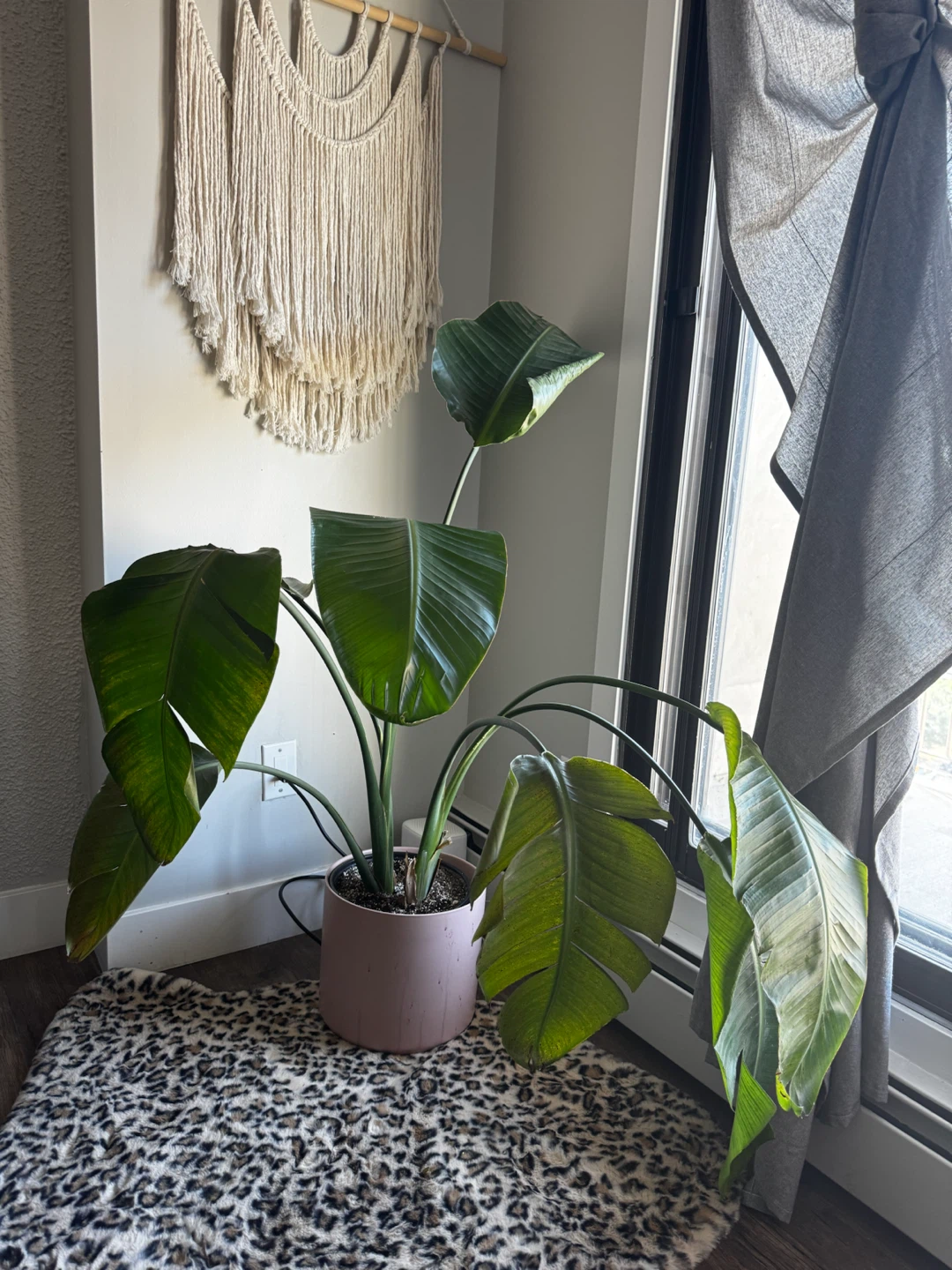 Home Decor Bundle
