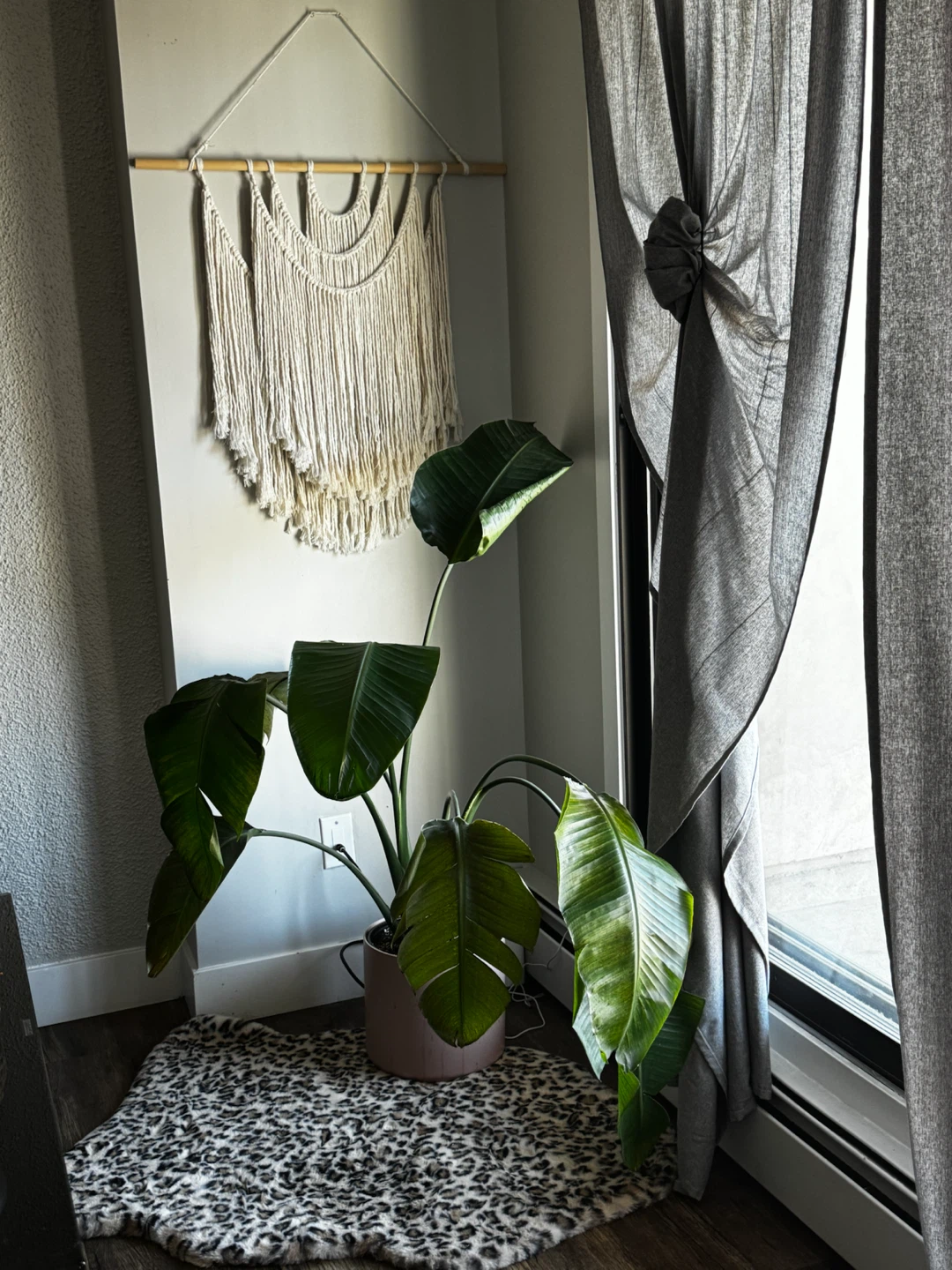 Home Decor Bundle - photo 2