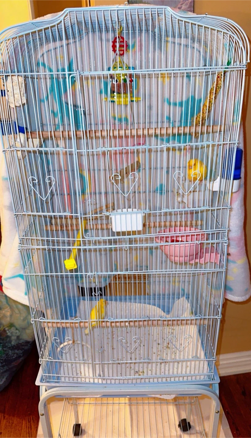 Bird Cage with Stand 62 inch and 36inch no stand