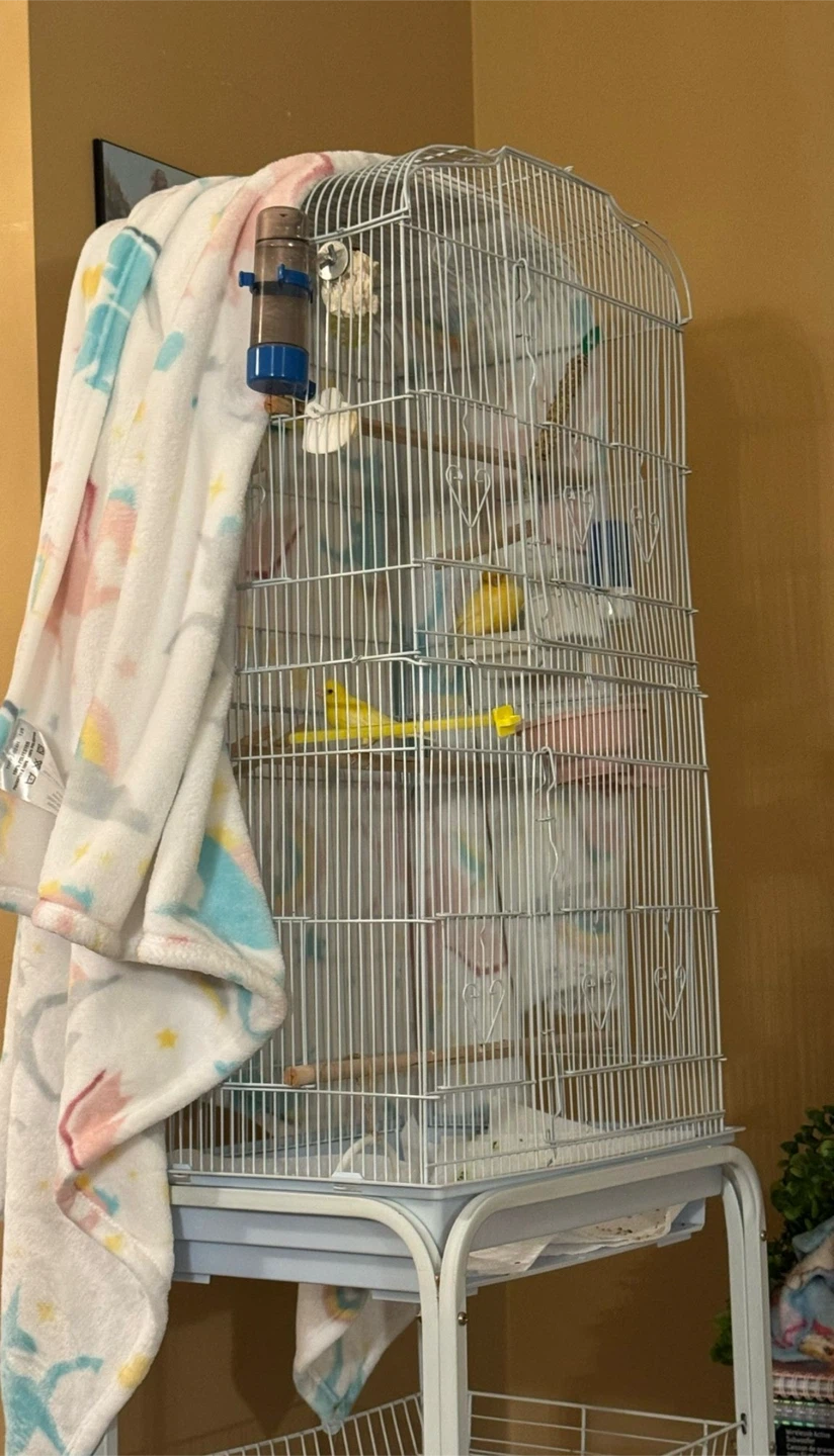 Bird Cage with Stand 62 inch and 36inch no stand - photo 2