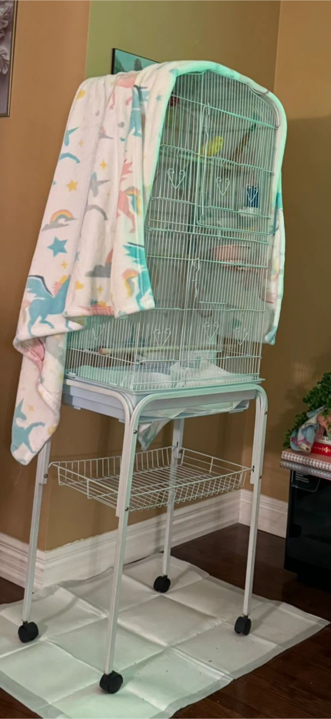 Bird Cage with Stand 62 inch and 36inch no stand - photo 3