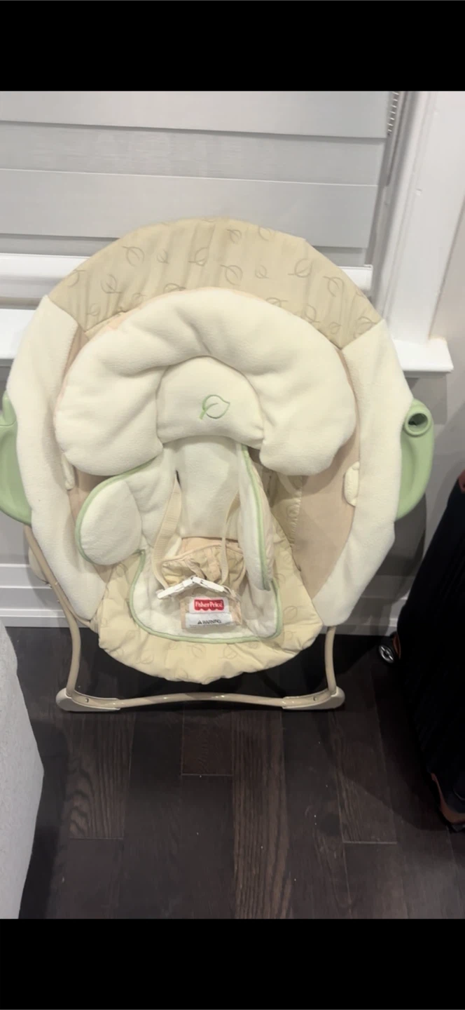 Fisher-Price Baby Bouncer