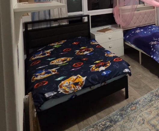 Twin size Sonic the Hedgehog Bed Frame - photo 2