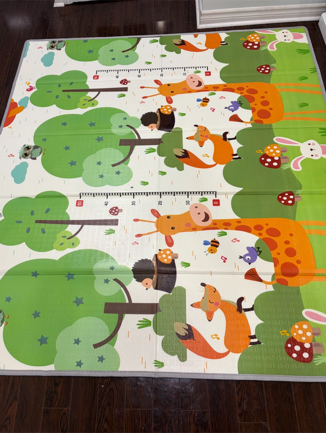 Animal Growth Chart Play Mat-  Large and Reversible