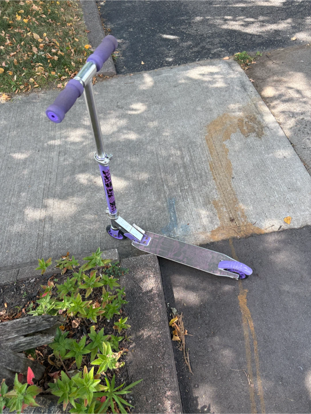 Purple and Silver Kids Scooter - photo 4