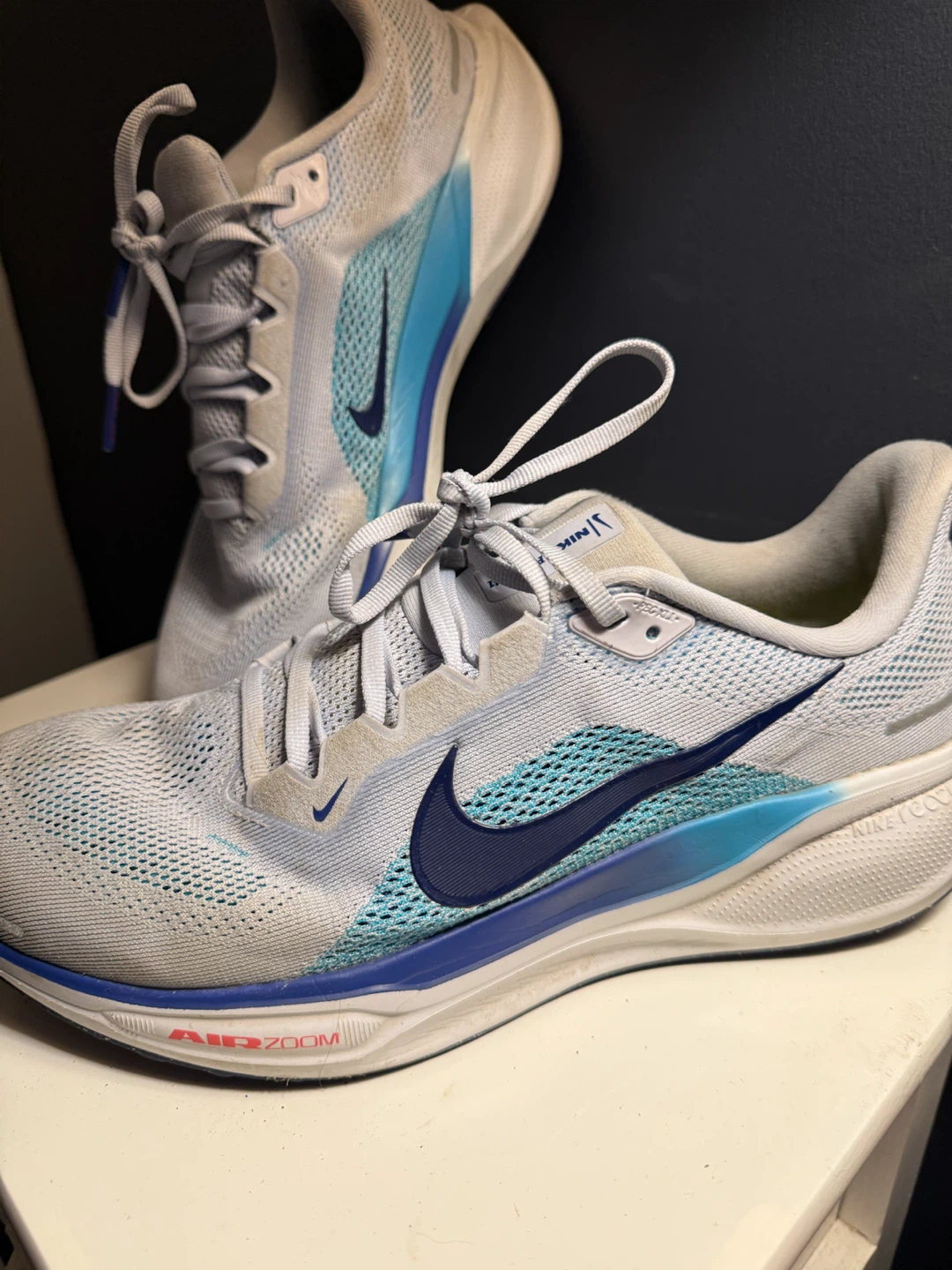 Nike Pegasus 41 Size 10