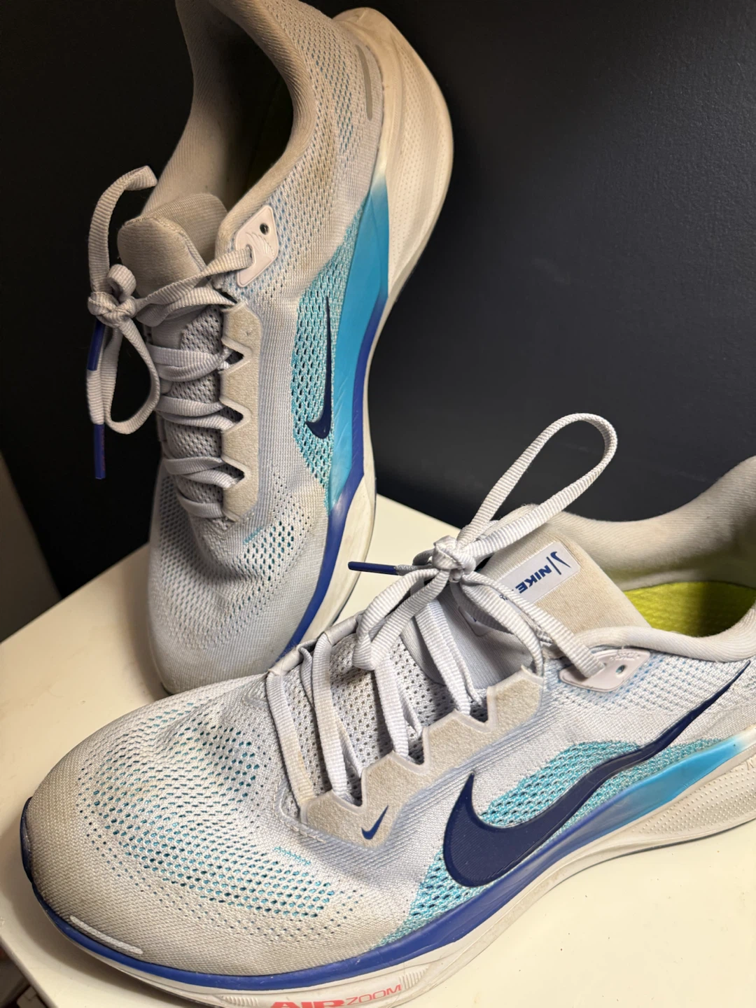 Nike Pegasus 41 Size 10 - photo 2