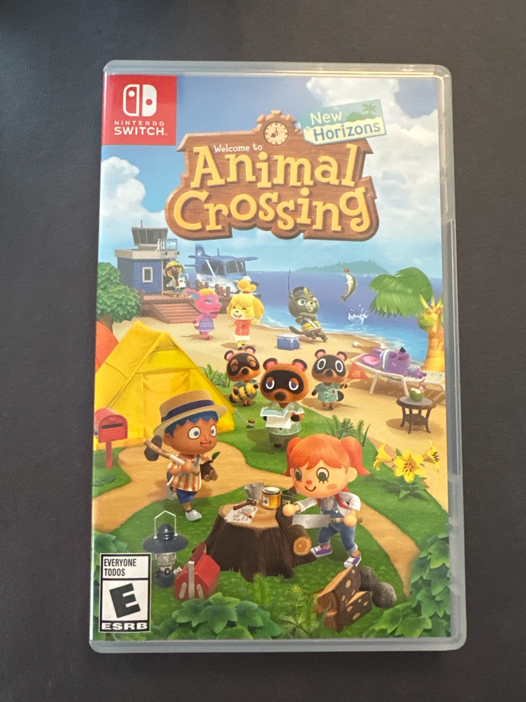 Nintendo Switch Animal Crossing New Horizons Game