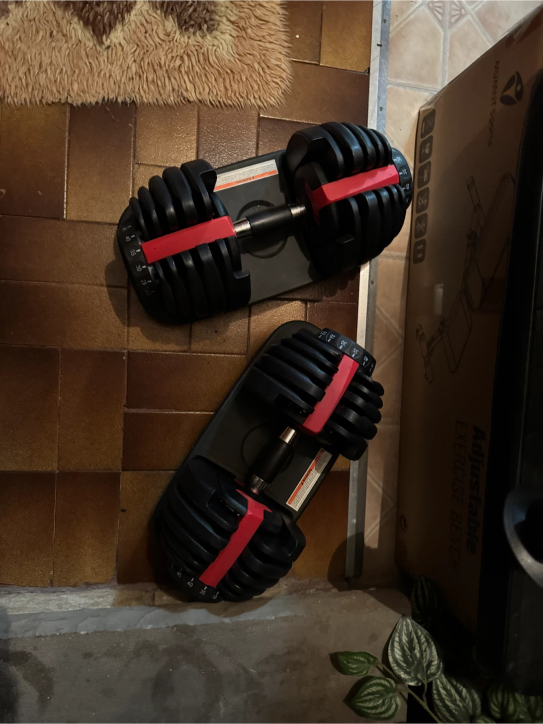 Adjustable Dumbbells and Exercise Bench