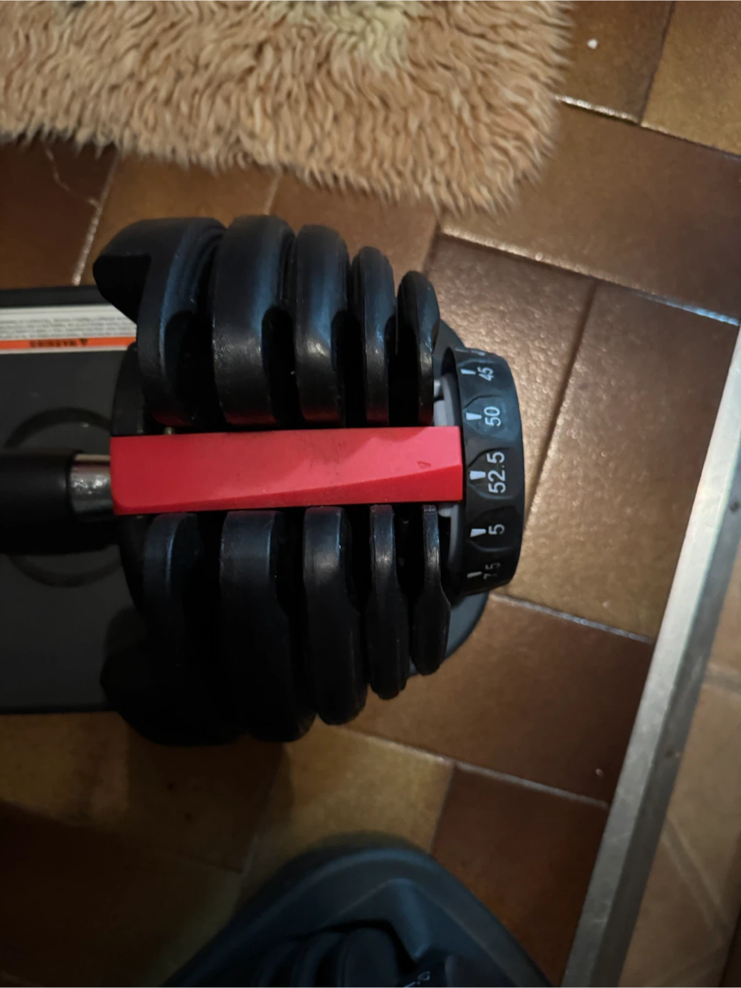 Adjustable Dumbbells and Exercise Bench - photo 2