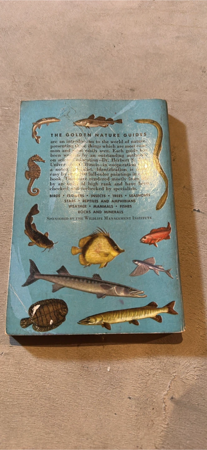 Golden Nature Guides Fishes: A Guide to North American Species - photo 2