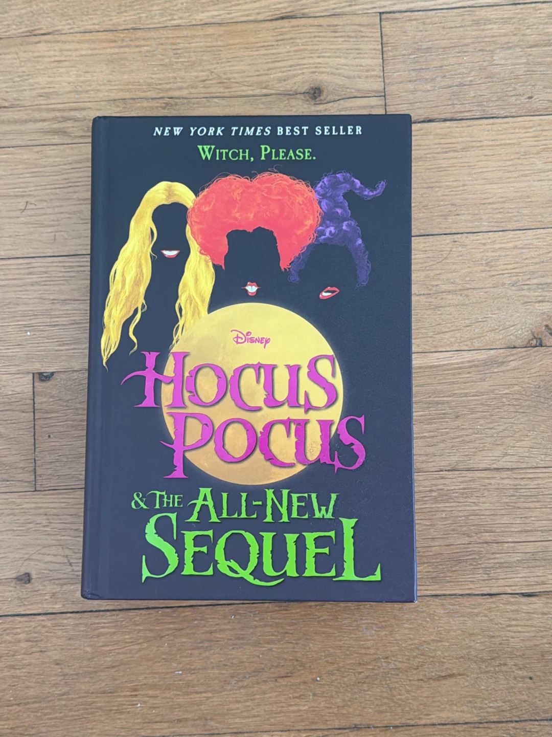 Hocus Pocus & The All-New Sequel Book