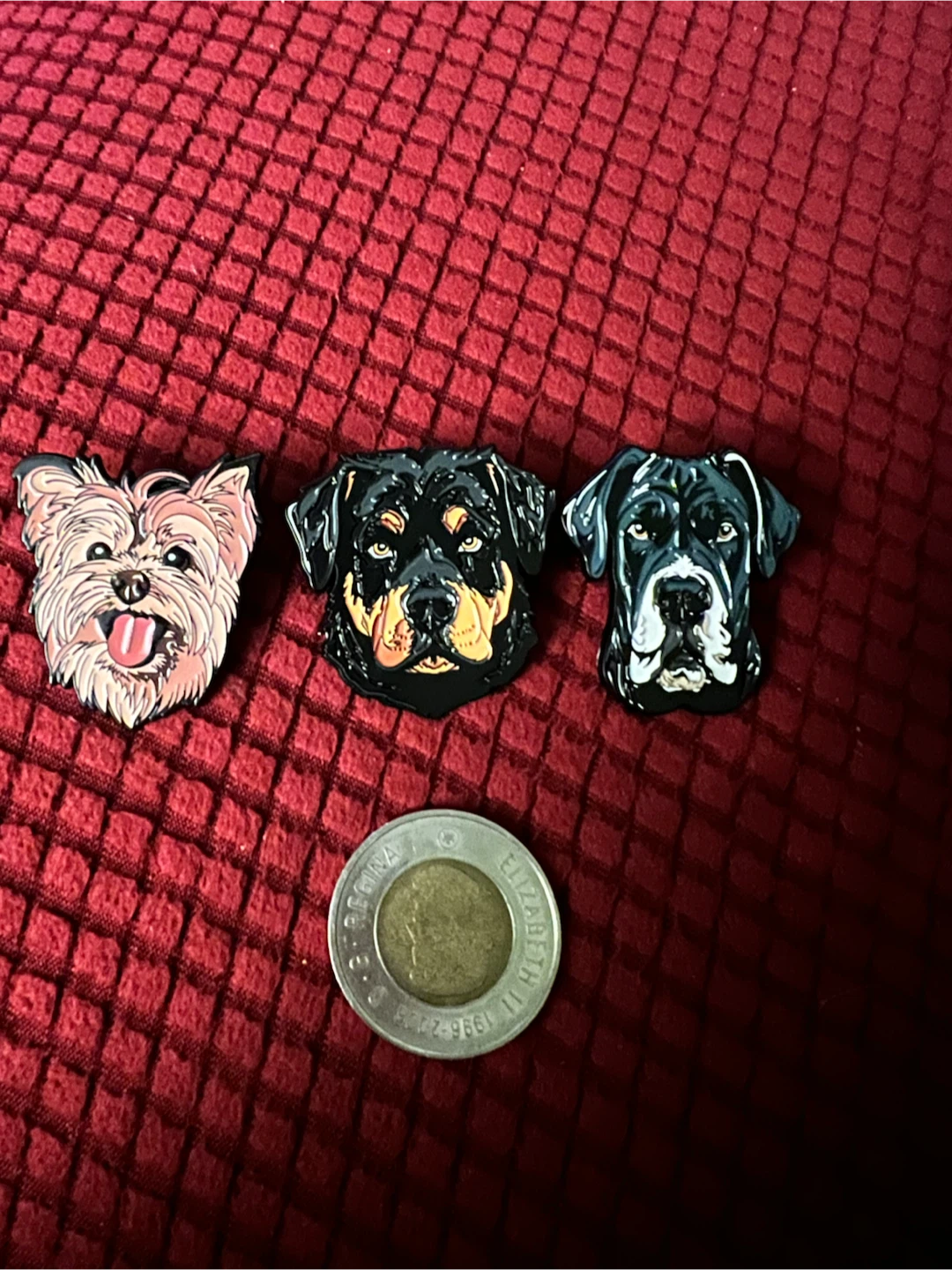 Dog Breed Pins (Yorkie, Rottweiler, Cane Corso)