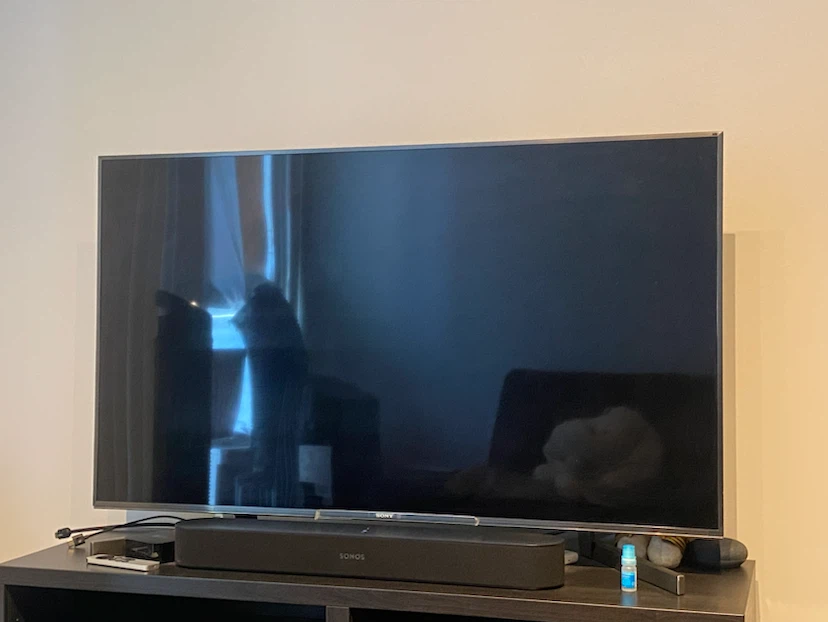 Sony BRAVIA49-inch TV, model XBR-49X900F.