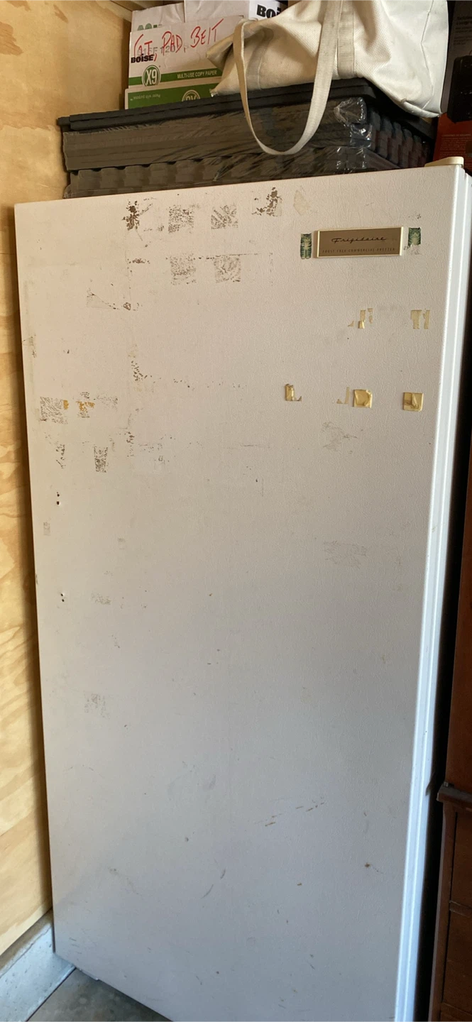 Frigidaire Frost Free Commercial Freezer